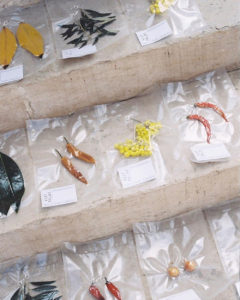 Jewellery Made from Flowers, Garlic Bulbs and Dried Chillies by Keef Palas